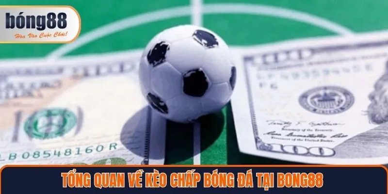 Tổng quan về kèo chấp bóng đá tại Bong88